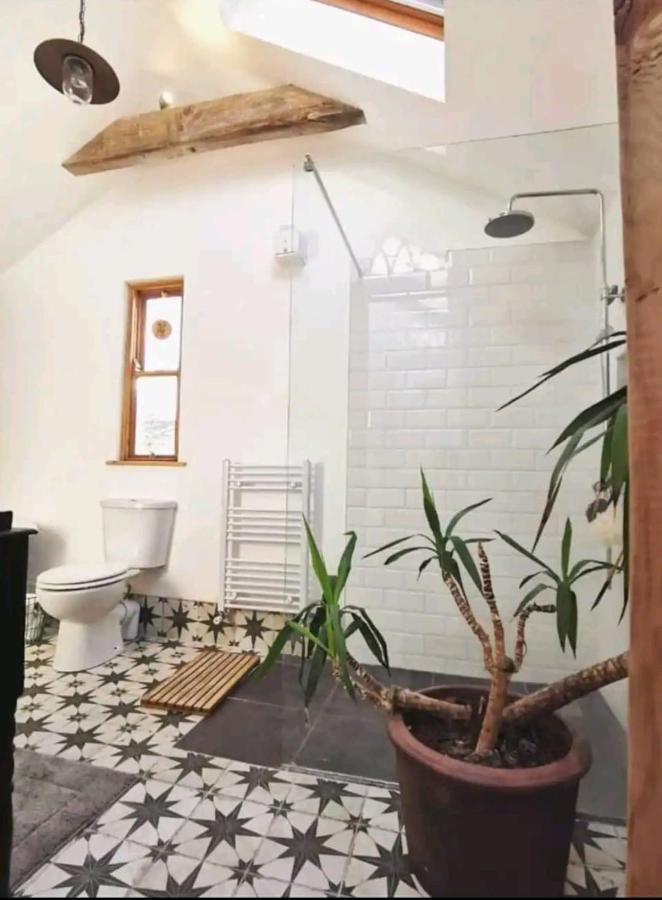The Carton Store Loft Apt Apartment คอร์ก ภายนอก รูปภาพ
